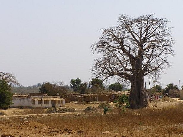 Foto: Hildegard Scheu 2008