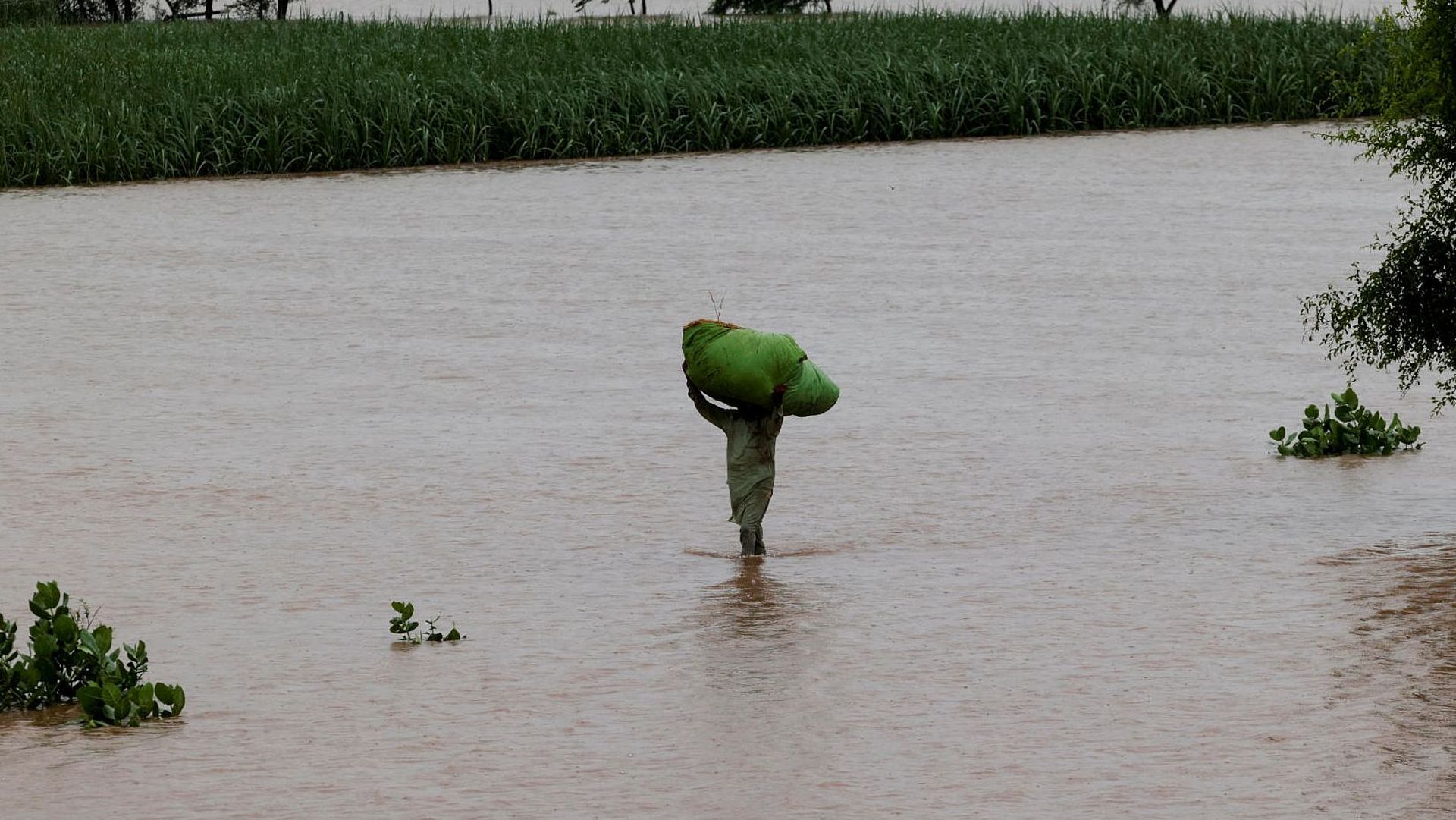 Ein Mann trägt einen großen Sack auf dem Kopf durch eine überflutete Landschaft. 