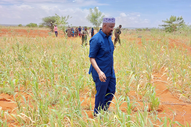 Abdullahi Hersi, NAPAD