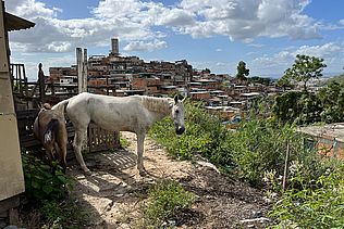 Zona Norte, Rio de Janeiro