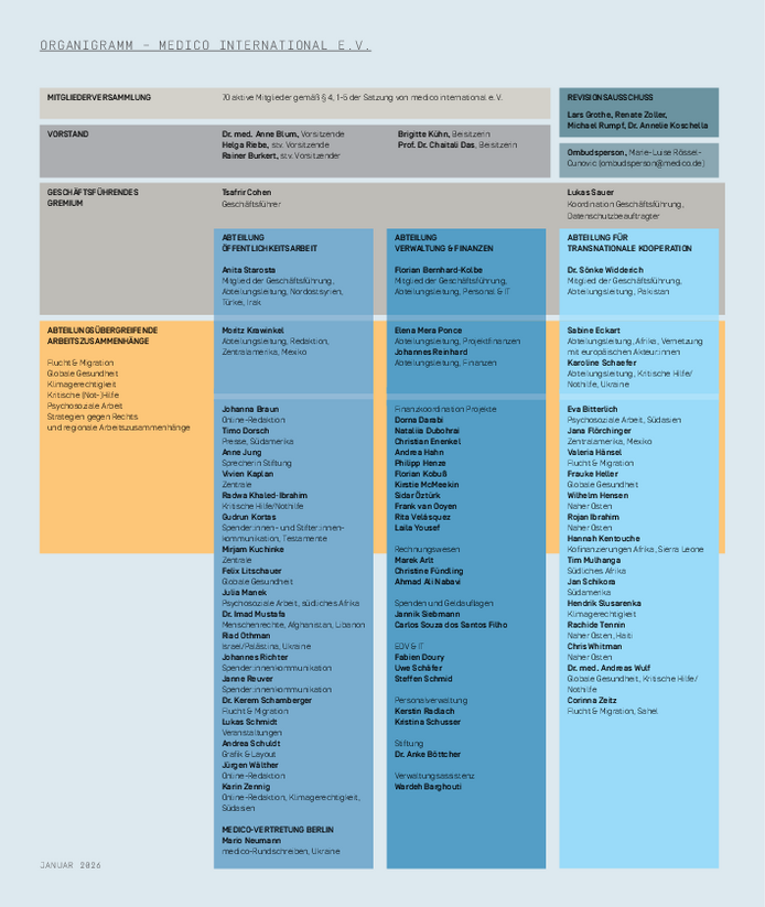 Organigramm medico international