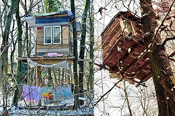 Kämpfe und Visionen – Rechte der Natur